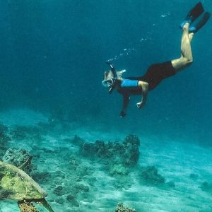 Scuba Diving Charter in  Boyton Beach